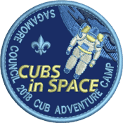 Cubs in SPace logo