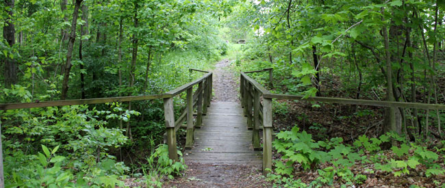 footbridge