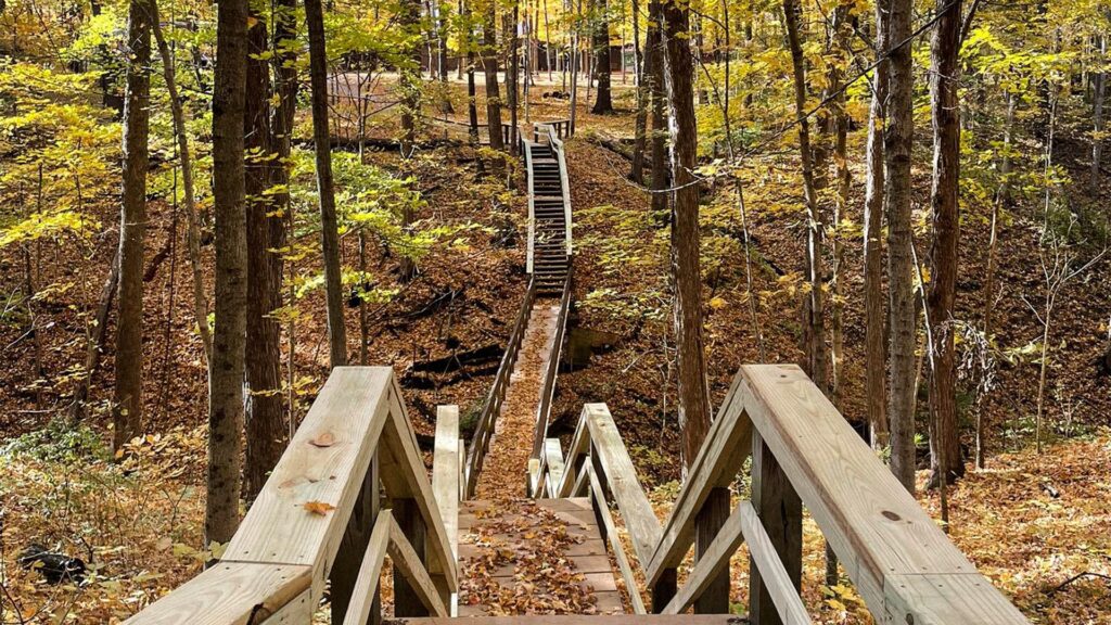 Hiking Trails & Wildcat Creek